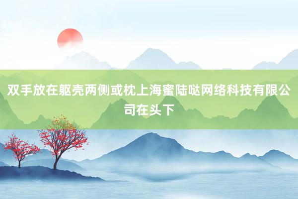 双手放在躯壳两侧或枕上海蜜陆哒网络科技有限公司在头下